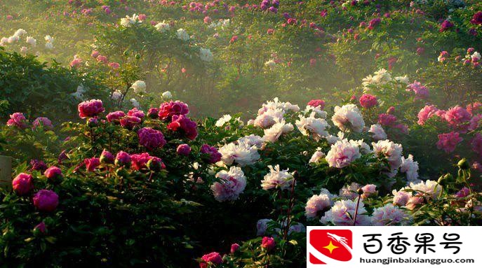 山东最穷的市是哪个市