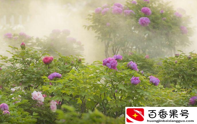 山东最穷的市是哪个市