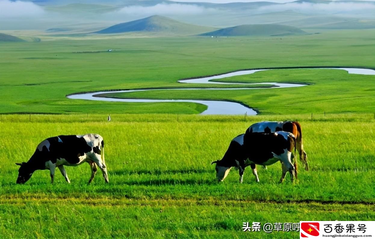 五月份去草原好吗