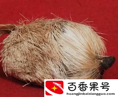 西藏特产有哪些值得购买