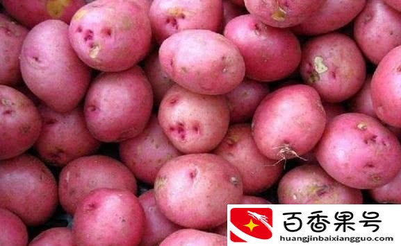 西藏特产有哪些值得购买