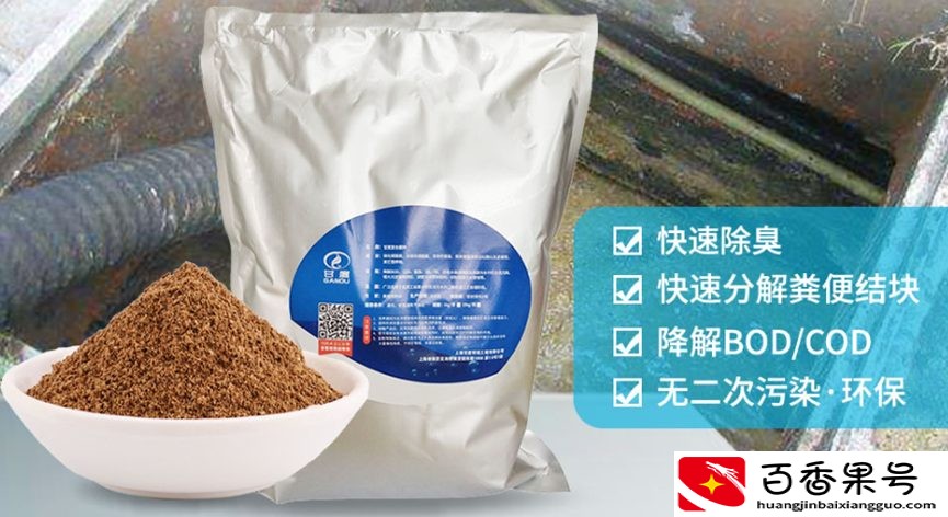 化粪池满了怎么办清理