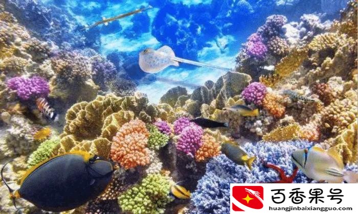 人类探索海洋百分之几？探索海洋的重要性？