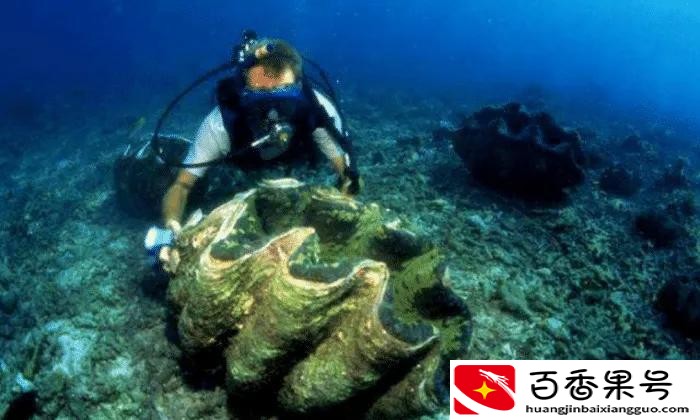 人类探索海洋百分之几？探索海洋的重要性？