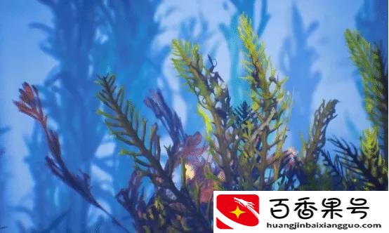 人类探索海洋百分之几？探索海洋的重要性？