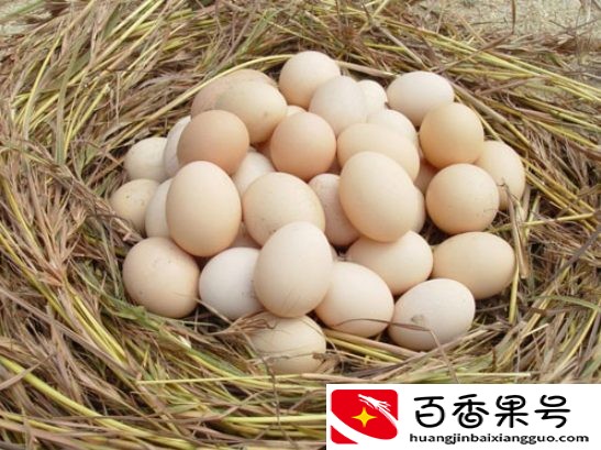 夏天鸡蛋需要放冰箱吗