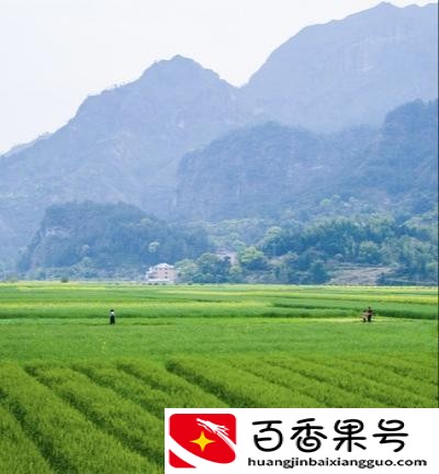 一亩地是几米x几米