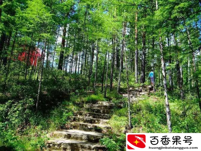 中国最冷的地方是哪里