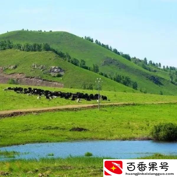 中国最冷的地方是哪里