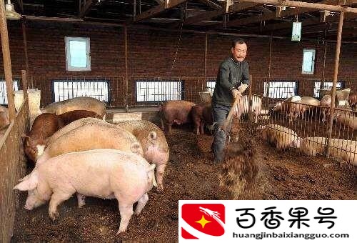 农村养殖要求什么条件？在村里面养殖的要求？