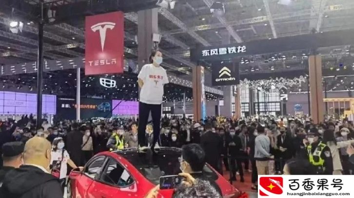 中国国家机构禁止买特斯拉