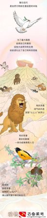 动物是怎么配偶