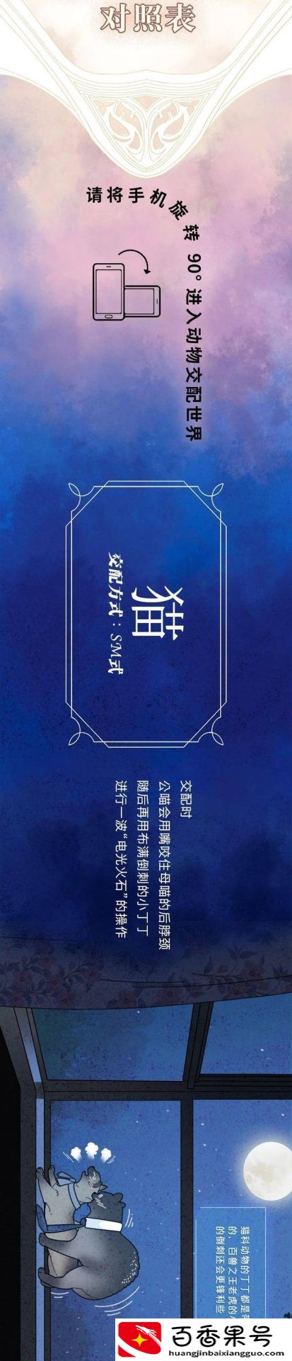 动物是怎么配偶
