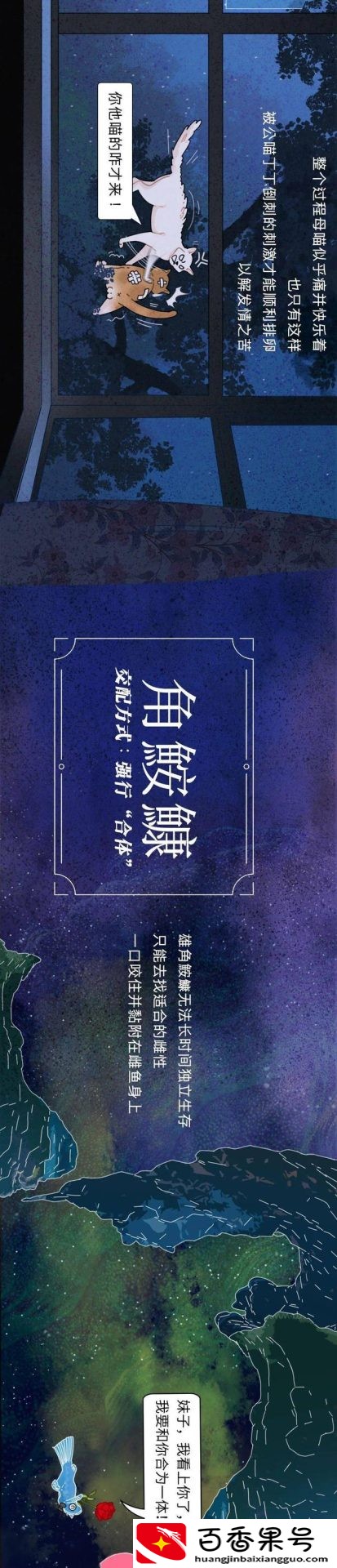 动物是怎么配偶