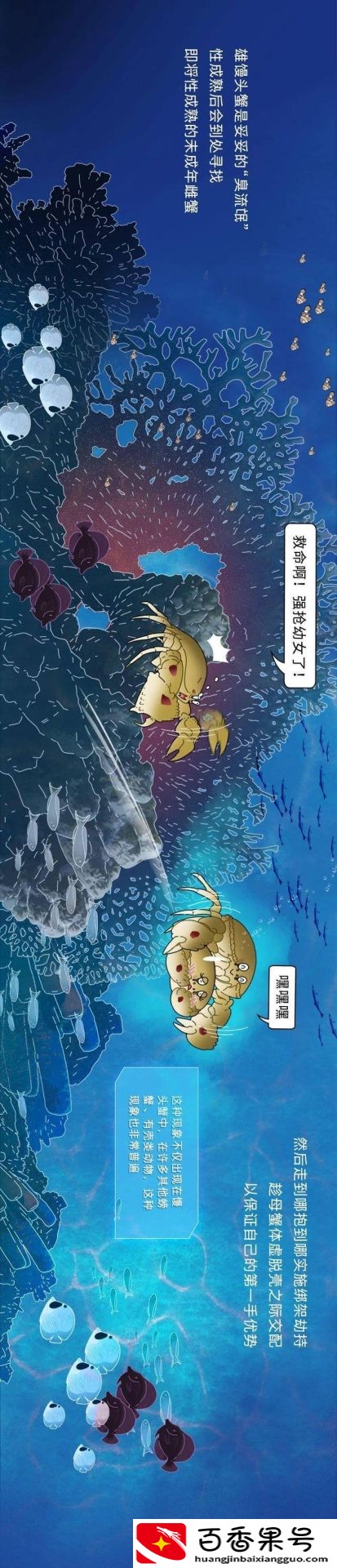 动物是怎么配偶
