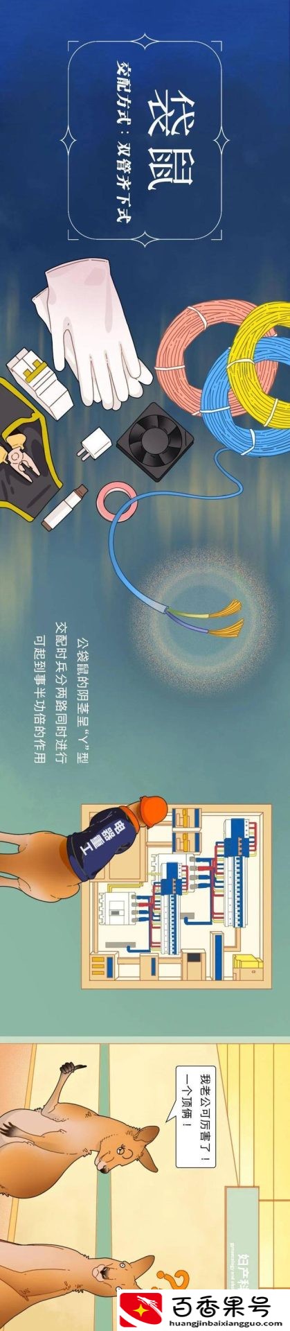 动物是怎么配偶