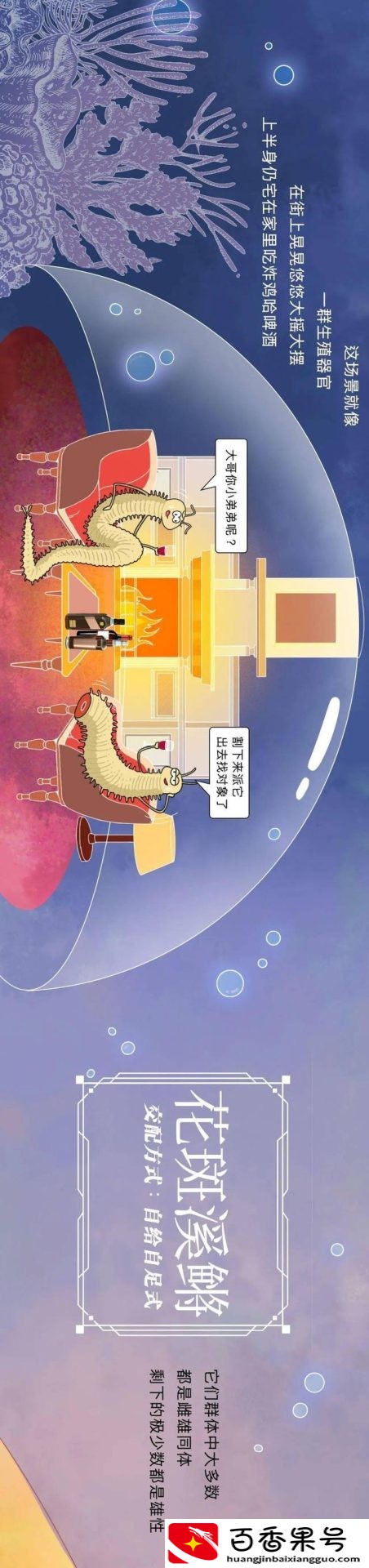 动物是怎么配偶