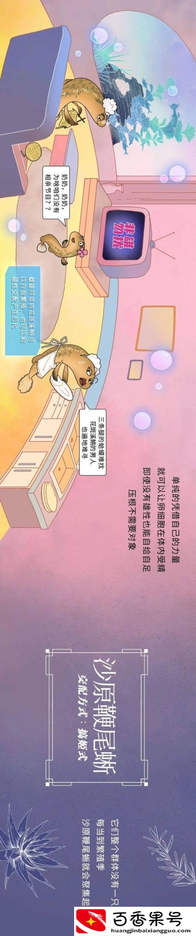 动物是怎么配偶