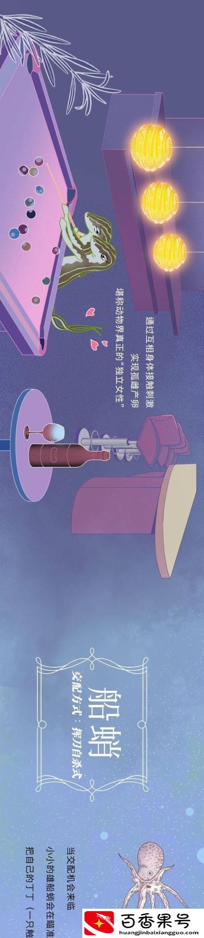 动物是怎么配偶