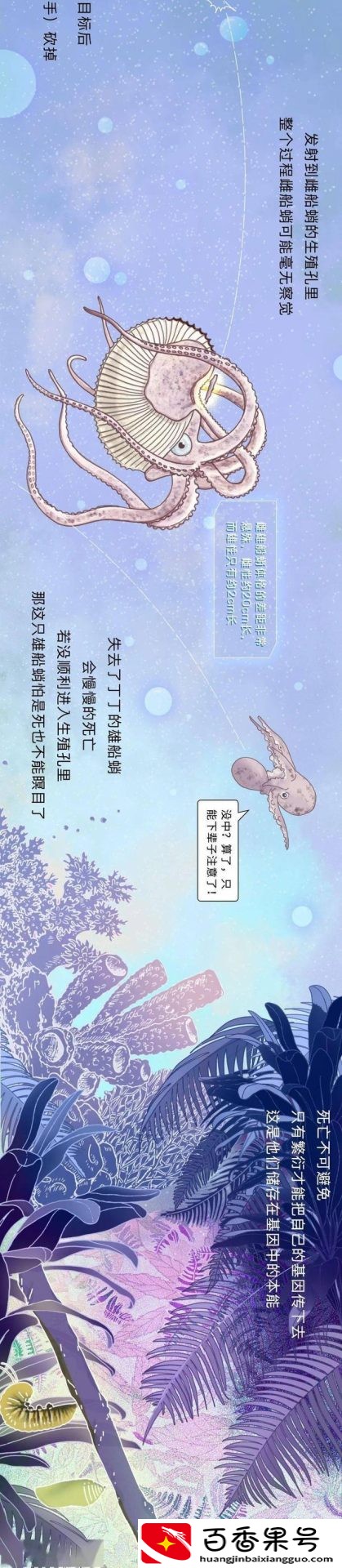 动物是怎么配偶