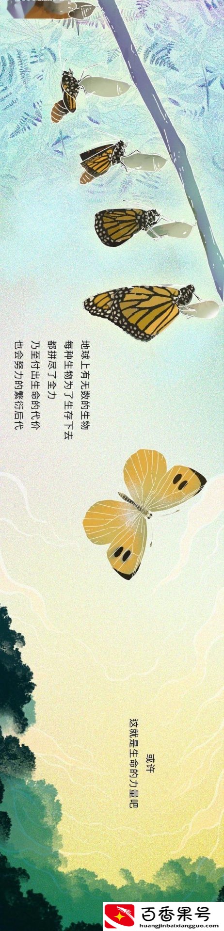 动物是怎么配偶