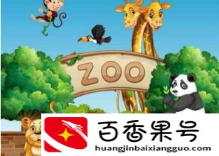 动物园里有什么动物