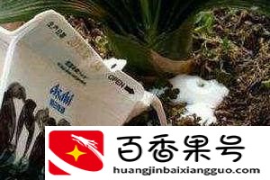 过期牛奶千万别扔11种用途