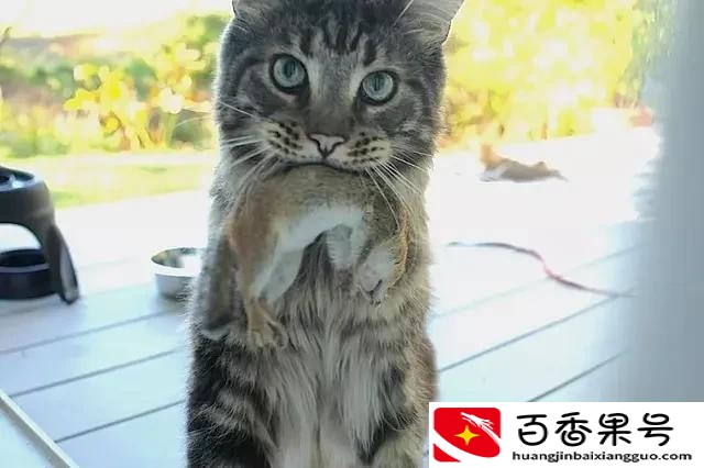 内存为什么涨价