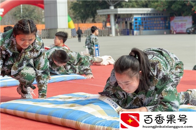 零基础学什么技术好
