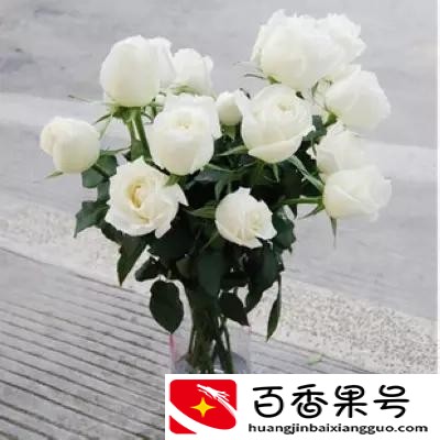 过期的啤酒还有什么用途吗