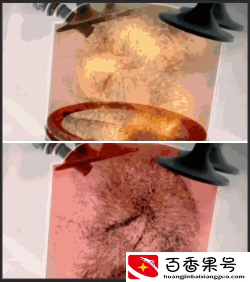 燃油添加剂有用吗