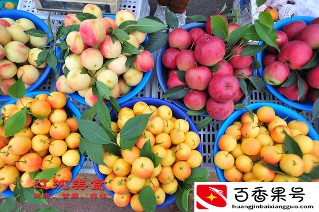 东北特产有哪些？东北特产排行榜前十名？