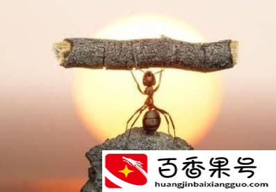没学历在上海能干什么