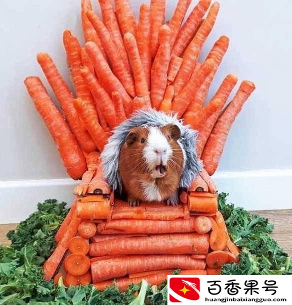 香水喷哪里留香最持久