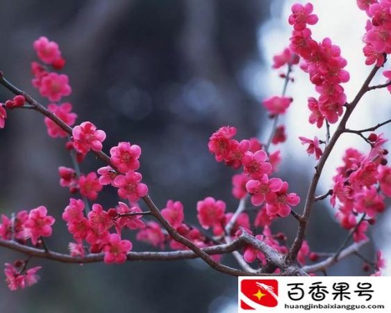 被孤立的人一定有问题