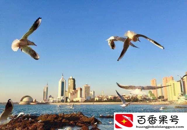 五一山东省内旅游最佳去处