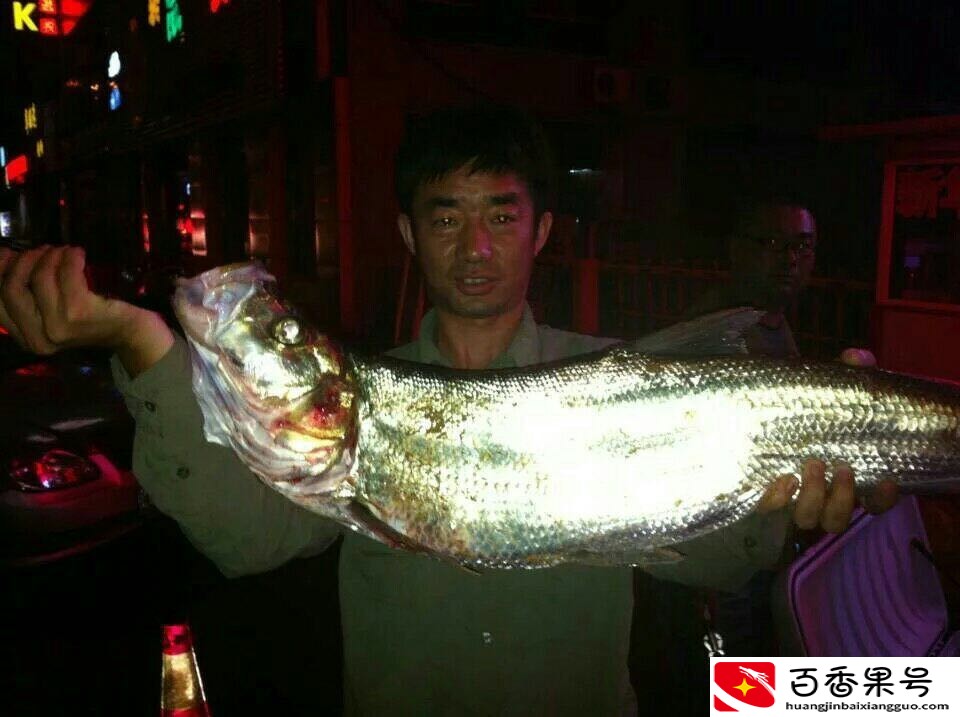 路亚晚上可以玩吗