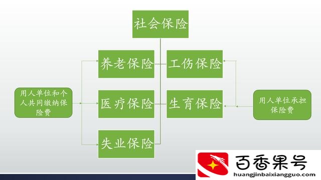 自己交五险好还是三险好