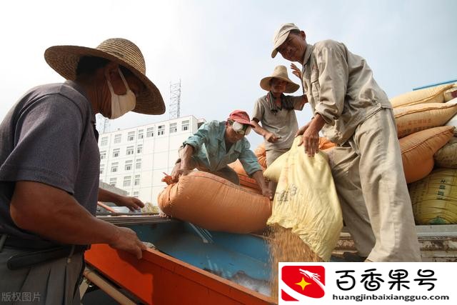 镇上做什么小本生意好