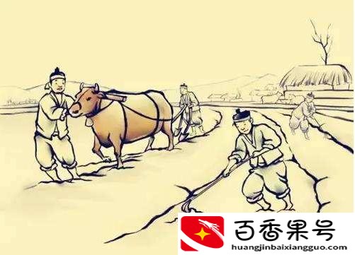 小蜜蜂指的是哪一类人