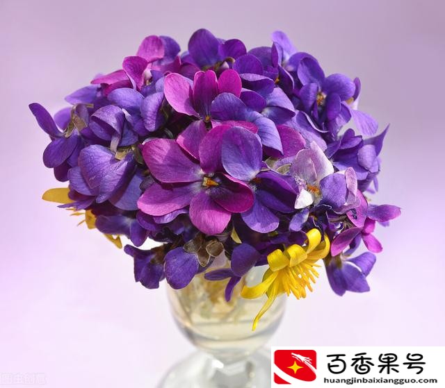送男友什么花比较适合