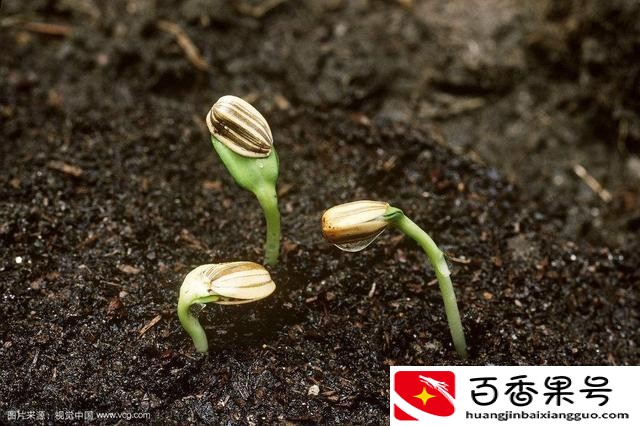 a轮b轮c轮天使轮区别
