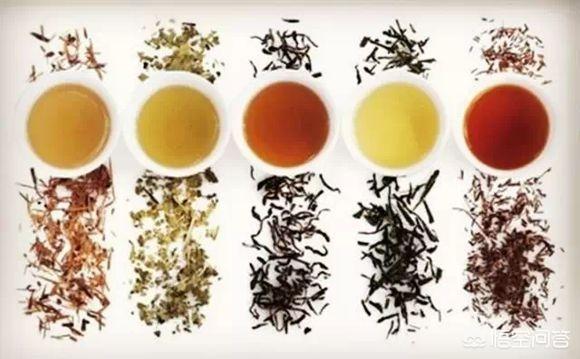 茶叶有哪些品种