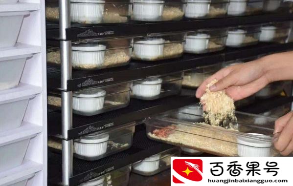 新手养什么比较挣钱