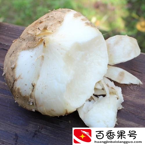 地瓜和红薯的区别？地瓜和红薯是一种东西吗？