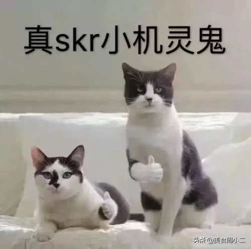 抖音和小红书哪个档次高