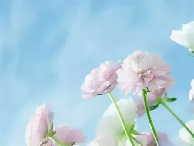 进厂一个月能挣多少钱工资