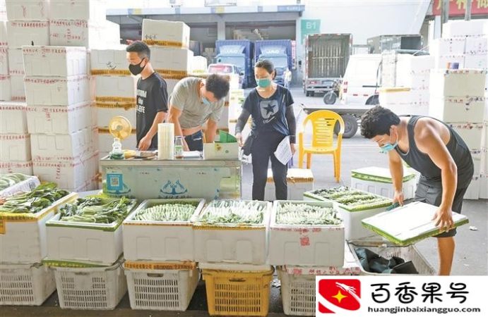 深圳水果批发市场哪里拿货便宜