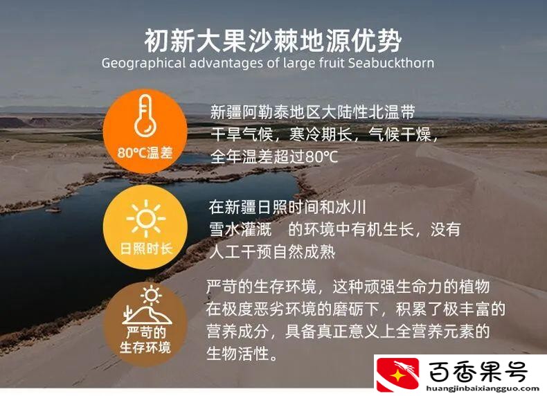 沙棘原浆多少一盒