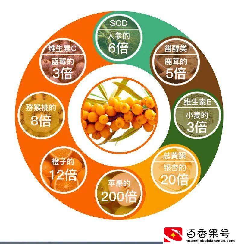 沙棘原浆多少一盒